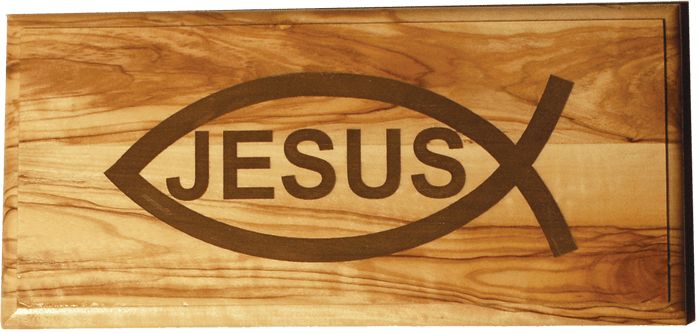 PLAQUE 9.5x20 cm