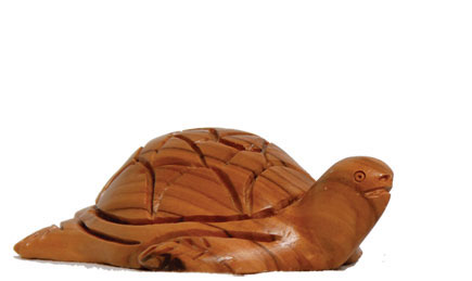 Turtle
