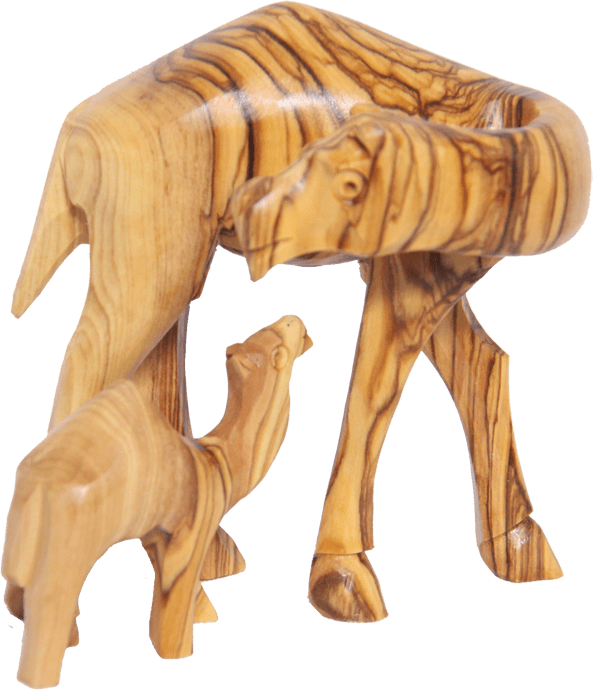 Camel - 2PCS