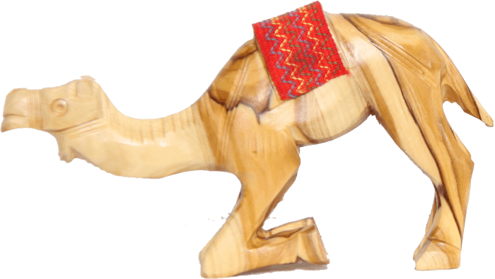 CAMEL 17 cm