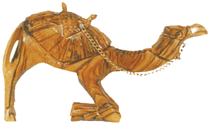 Camel 20 cm