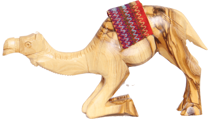 CAMEL 20 cm