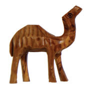 Camel