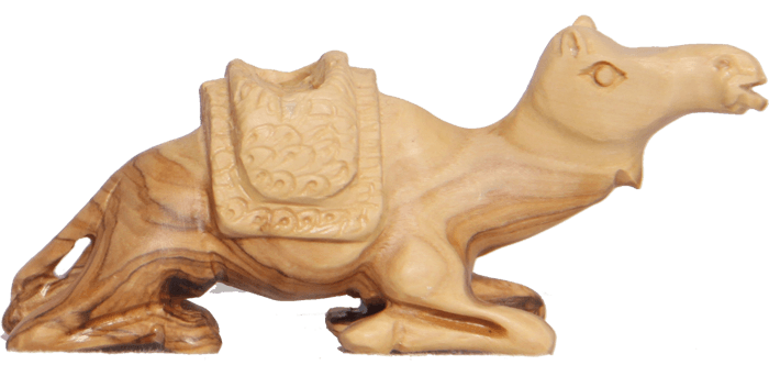 Camel